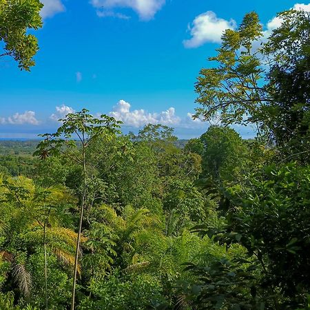 Corcovado Private Villas - Corcovado Private Reserve ปัวร์โตคิมาเนซ ภายนอก รูปภาพ