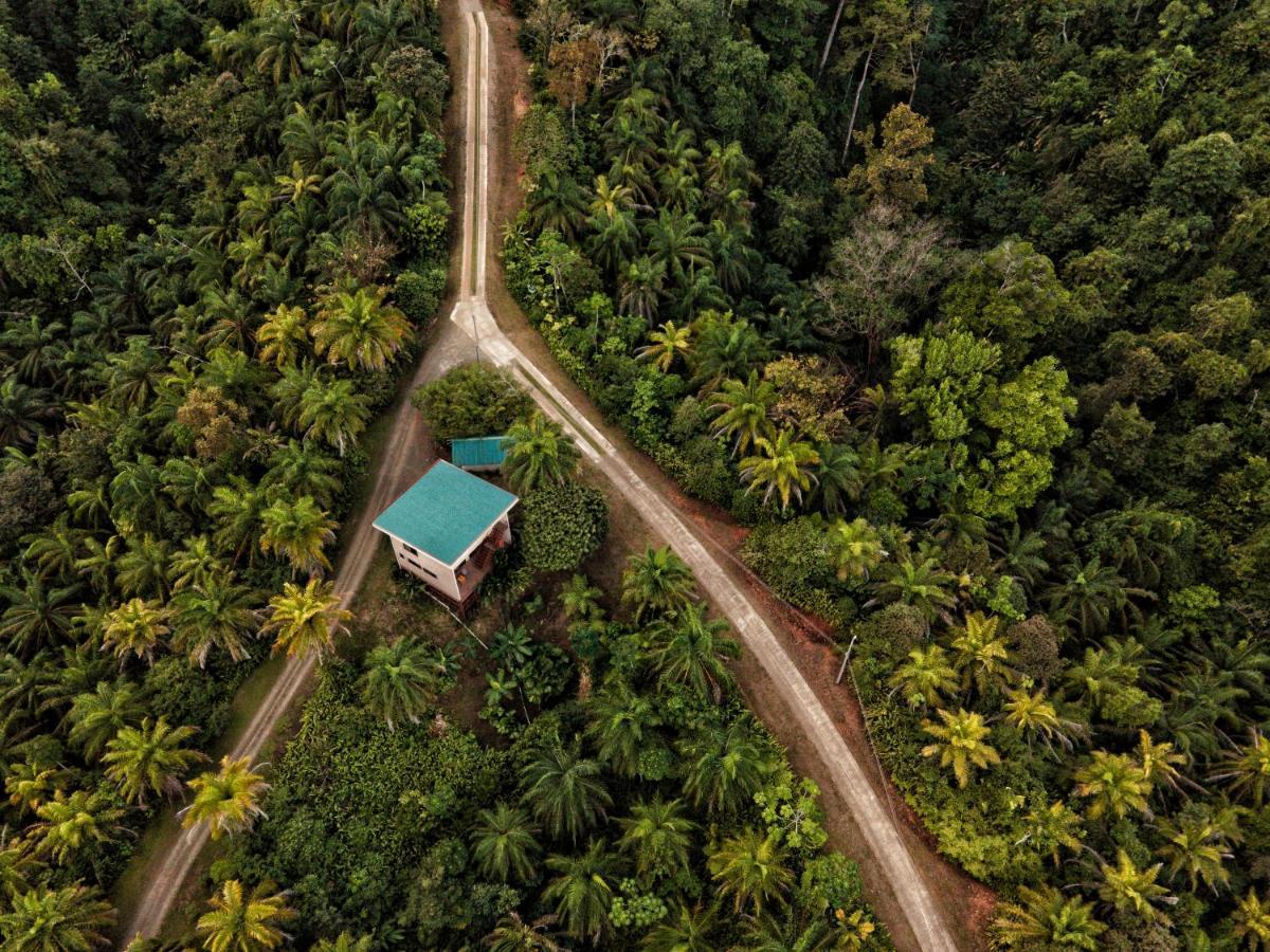 Corcovado Private Villas - Corcovado Private Reserve ปัวร์โตคิมาเนซ ภายนอก รูปภาพ