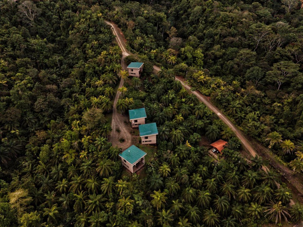 Corcovado Private Villas - Corcovado Private Reserve ปัวร์โตคิมาเนซ ภายนอก รูปภาพ