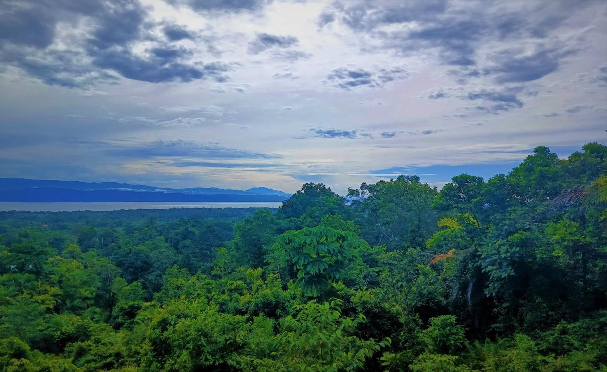 Corcovado Private Villas - Corcovado Private Reserve ปัวร์โตคิมาเนซ ภายนอก รูปภาพ