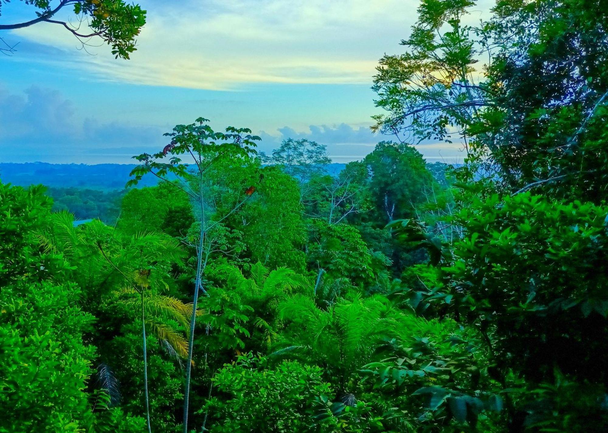 Corcovado Private Villas - Corcovado Private Reserve ปัวร์โตคิมาเนซ ภายนอก รูปภาพ