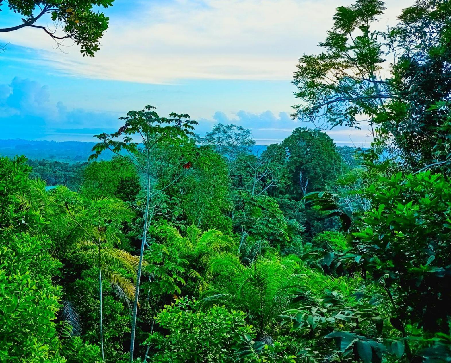 Corcovado Private Villas - Corcovado Private Reserve ปัวร์โตคิมาเนซ ภายนอก รูปภาพ
