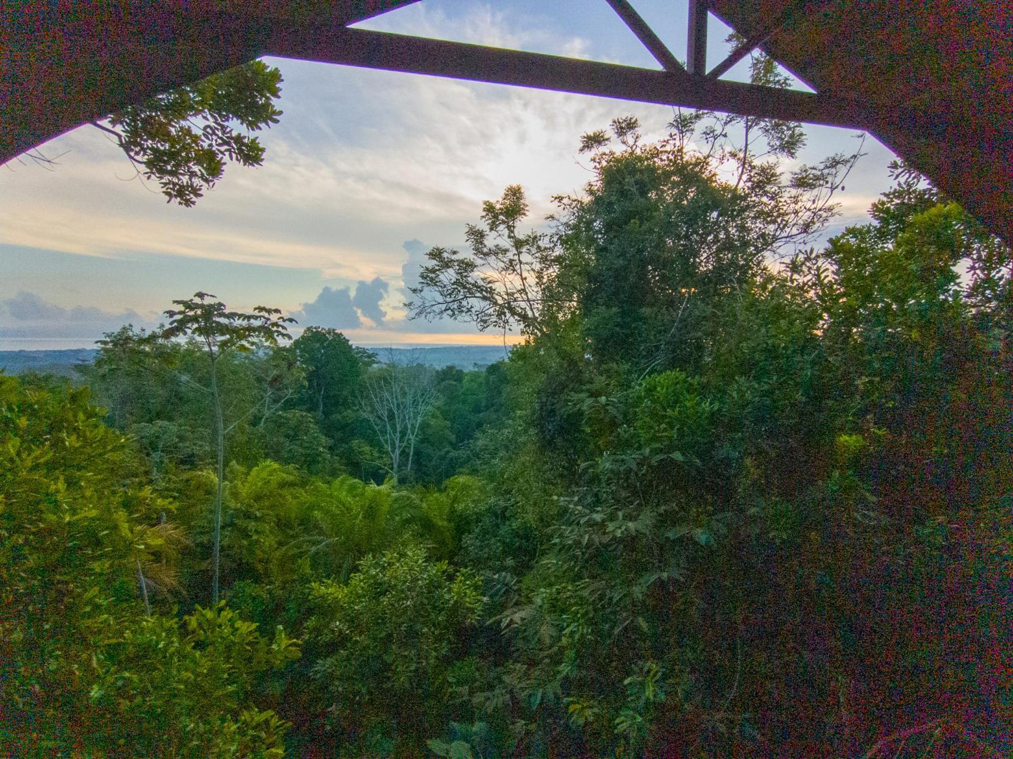 Corcovado Private Villas - Corcovado Private Reserve ปัวร์โตคิมาเนซ ภายนอก รูปภาพ