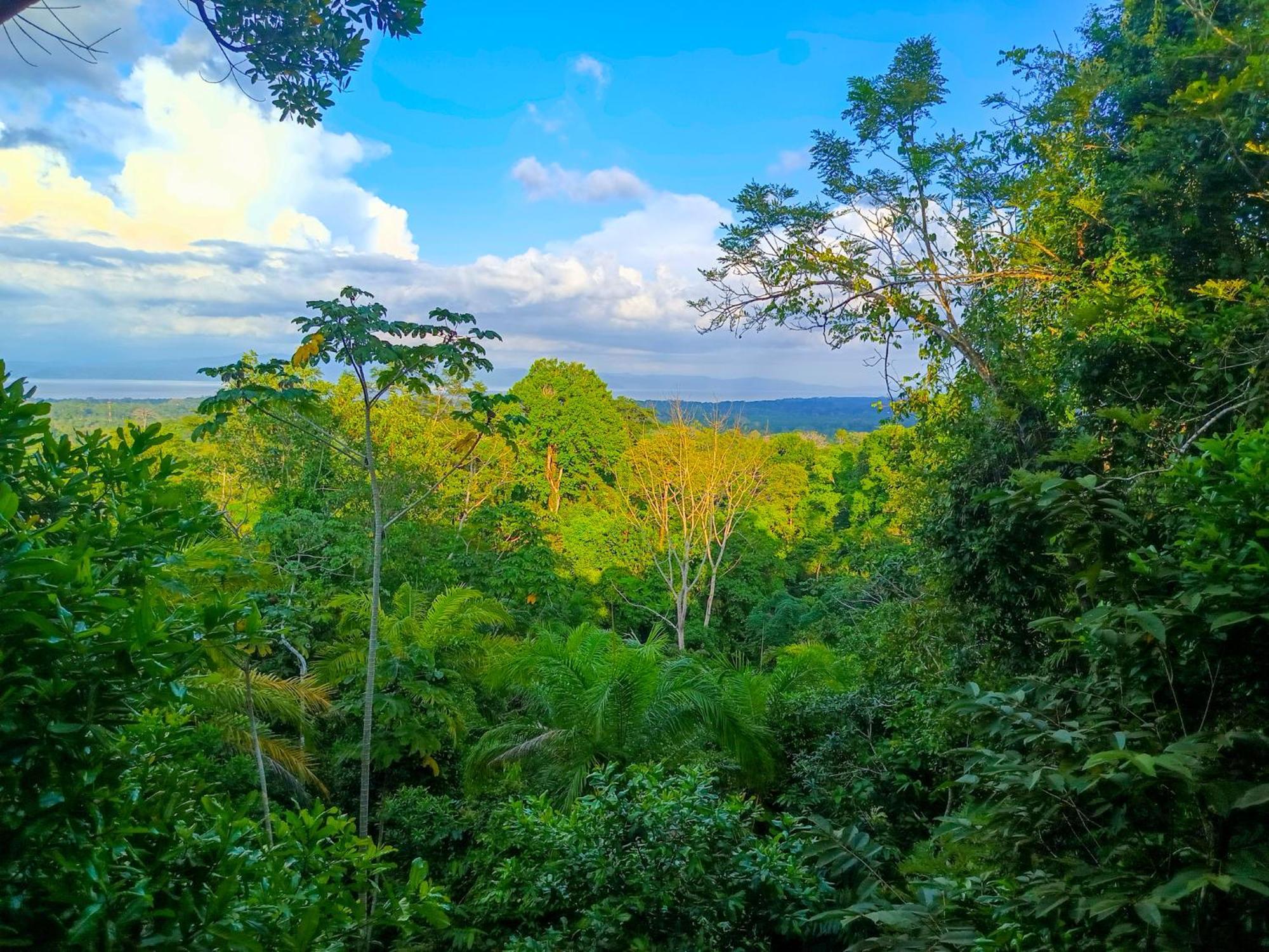 Corcovado Private Villas - Corcovado Private Reserve ปัวร์โตคิมาเนซ ภายนอก รูปภาพ
