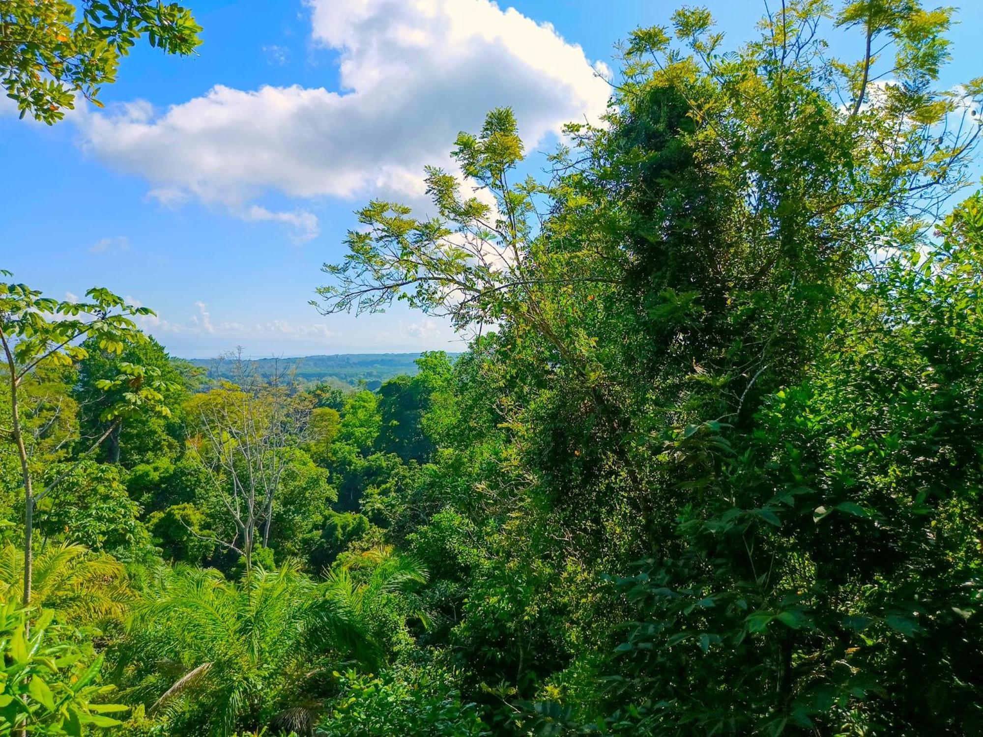 Corcovado Private Villas - Corcovado Private Reserve ปัวร์โตคิมาเนซ ภายนอก รูปภาพ