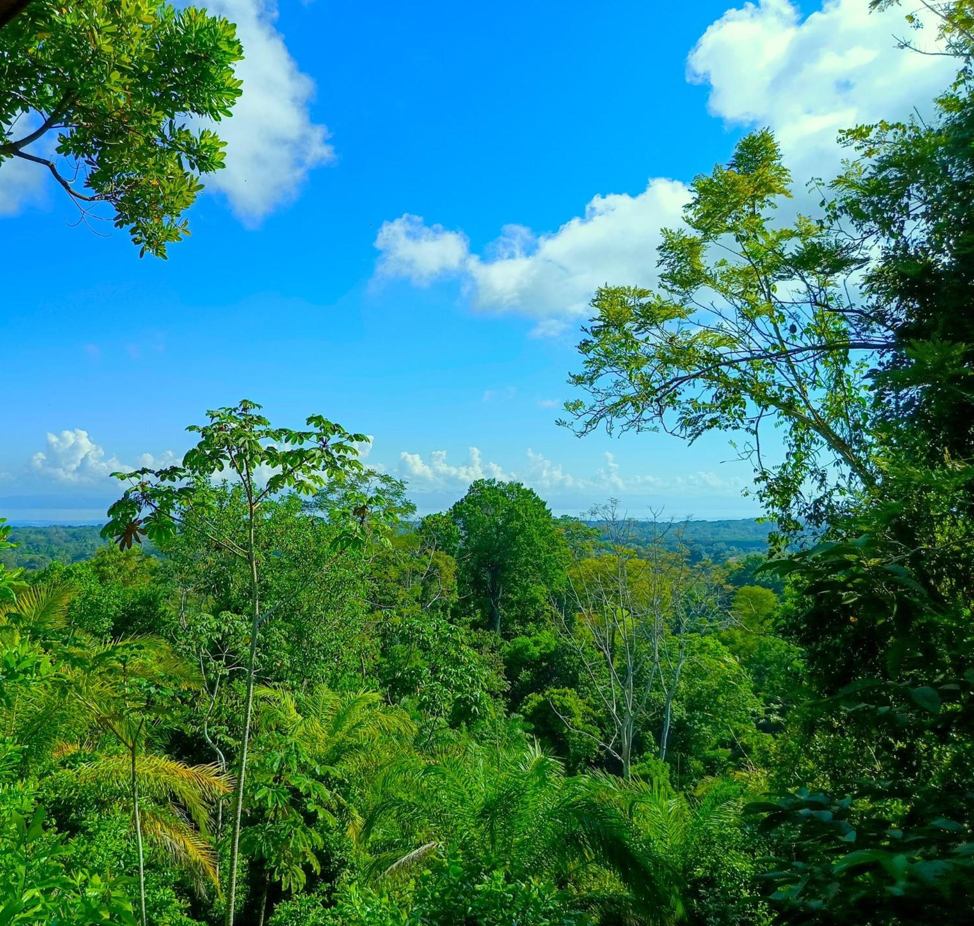 Corcovado Private Villas - Corcovado Private Reserve ปัวร์โตคิมาเนซ ภายนอก รูปภาพ