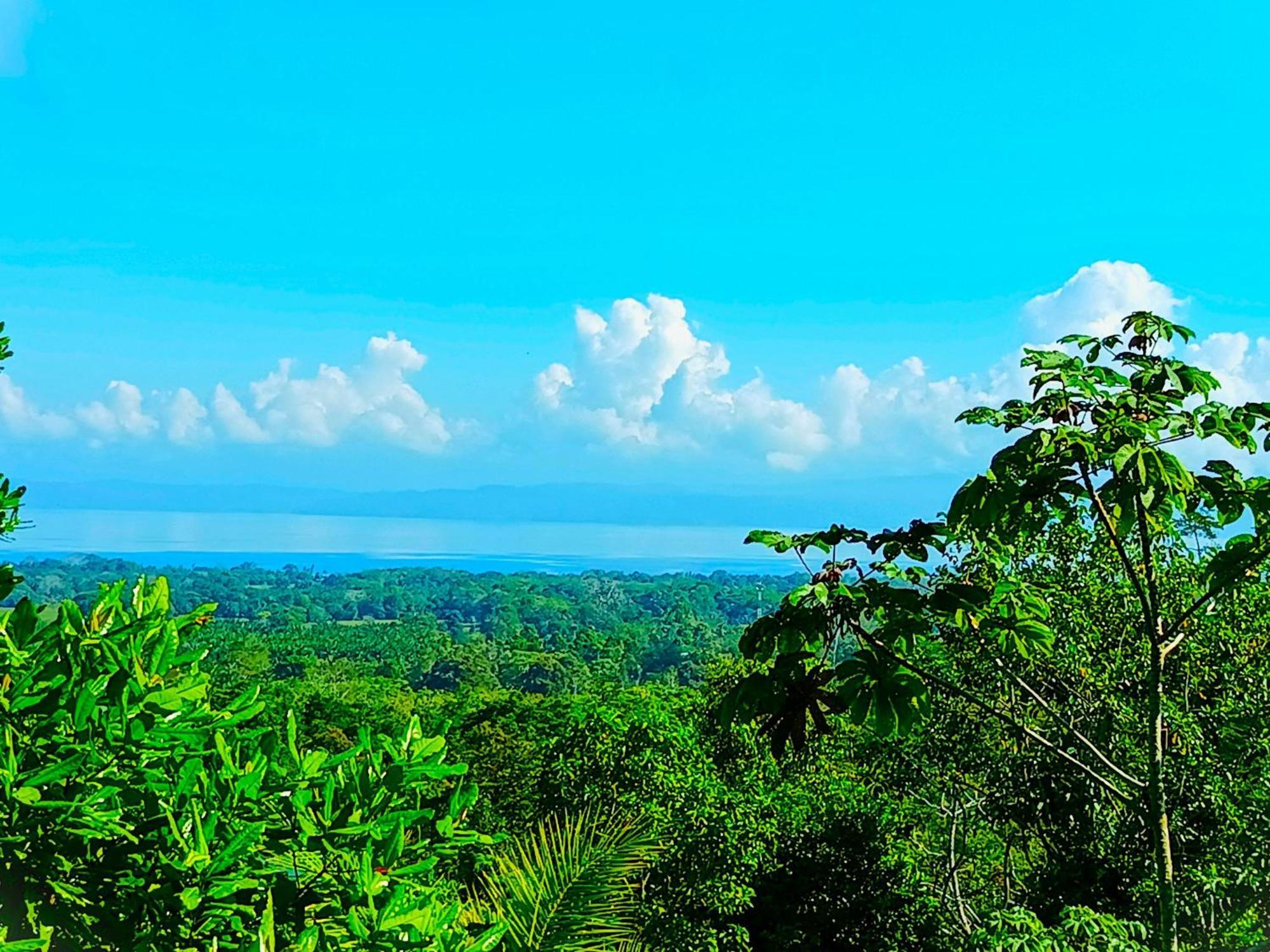 Corcovado Private Villas - Corcovado Private Reserve ปัวร์โตคิมาเนซ ภายนอก รูปภาพ