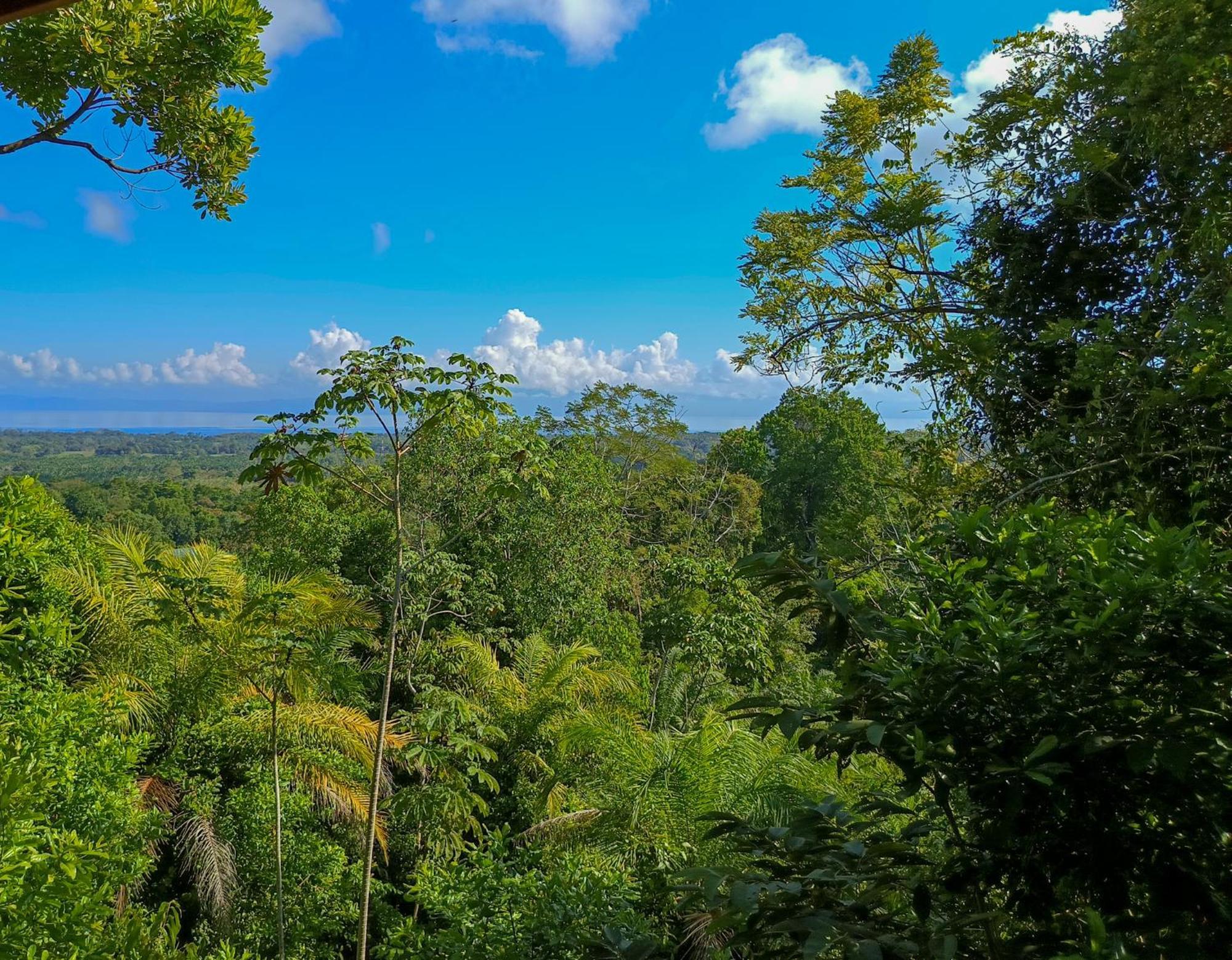 Corcovado Private Villas - Corcovado Private Reserve ปัวร์โตคิมาเนซ ภายนอก รูปภาพ