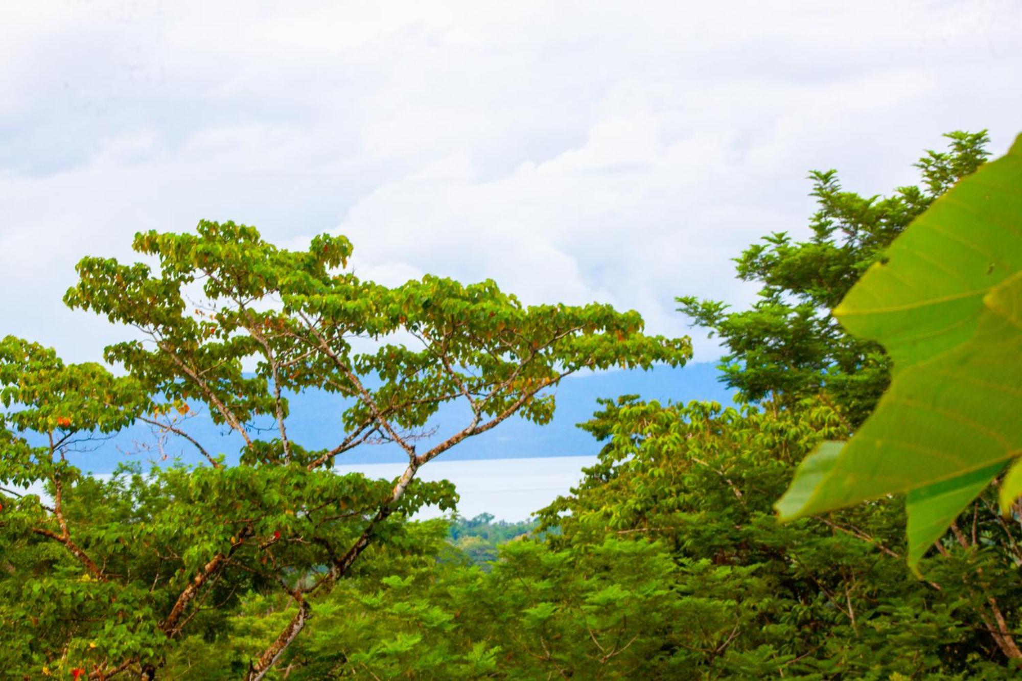 Corcovado Private Villas - Corcovado Private Reserve ปัวร์โตคิมาเนซ ภายนอก รูปภาพ